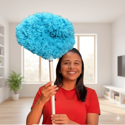 BB Ceiling Fan Duster + House cleaner | Festive Sale